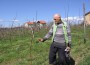 Novi zasadi voća u Slankamenu Novi zasadi voća u Slankamenu