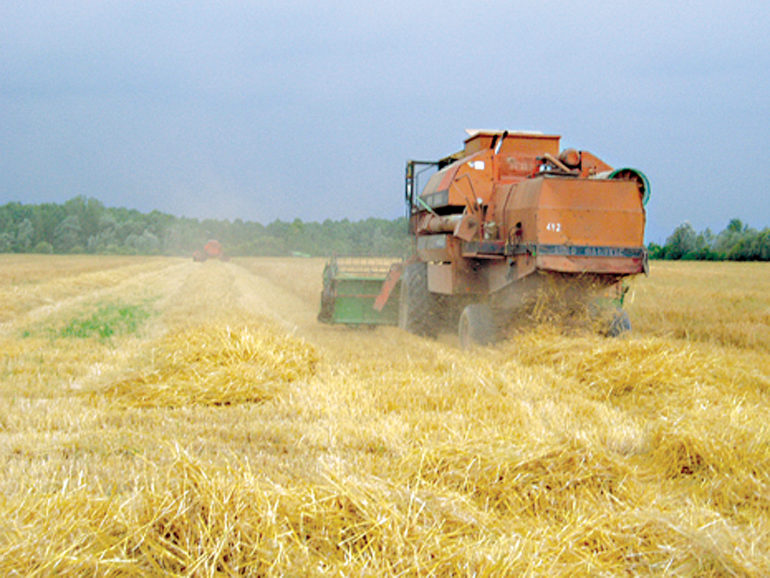 Sve sprem­no za že­tvu