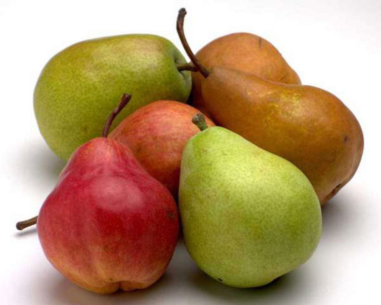 Plo­do­vi je­se­ni ja­ča­ju or­ga­ni­zam