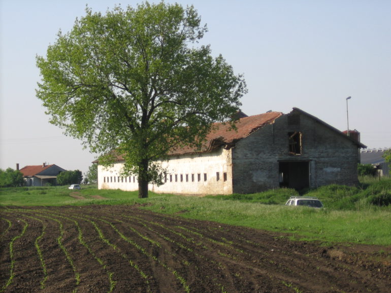 Organska proizvodnja