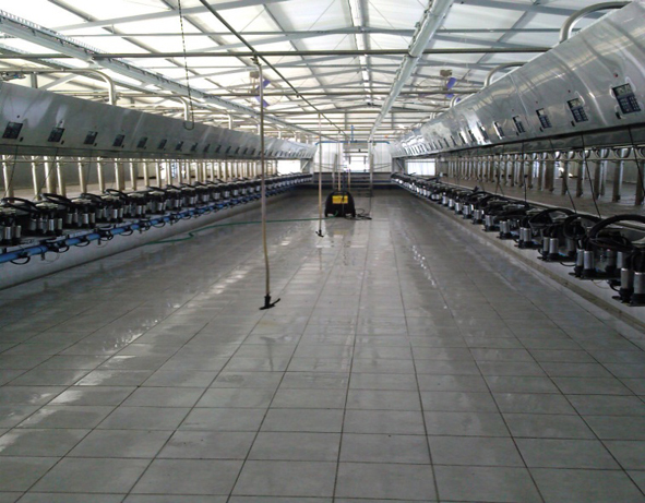 Na­čin dr­ža­nja i uz­ga­ja­nja te­la­di