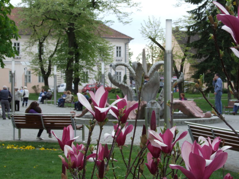 Osam mitrovačkih uprava