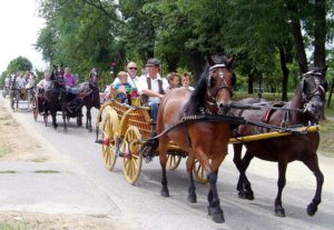 Učesnici Fijakerijade
