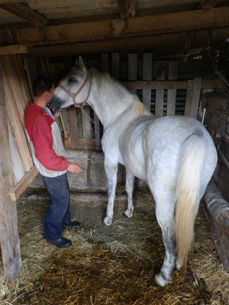 VELIKI RADNICI: U POSETI RANKU POPOVIĆU