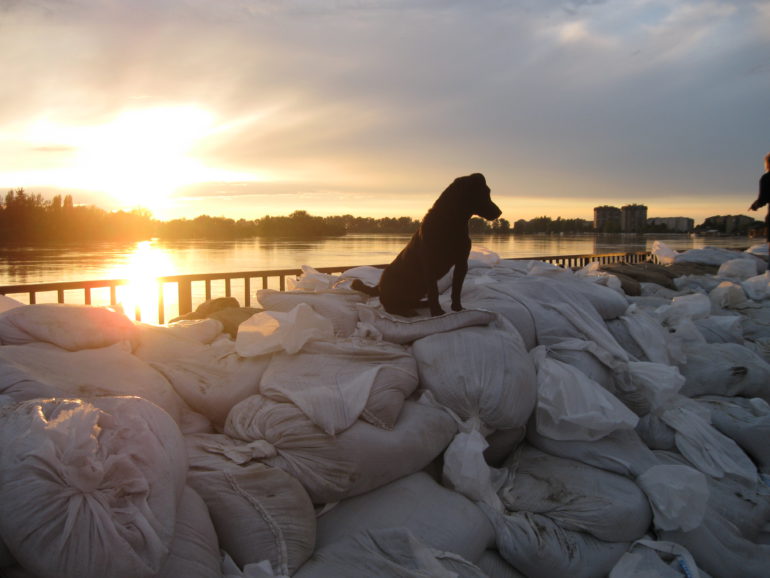 U očekivanju stihije
