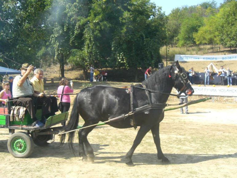 Sremski ručak čobanski