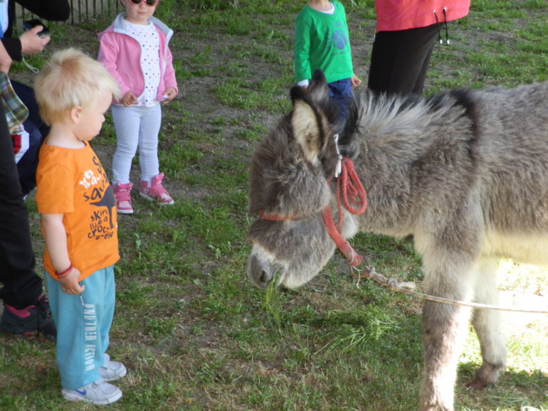 Dan magarica na Zasavici