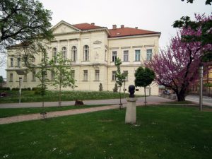 Muzej-Srema