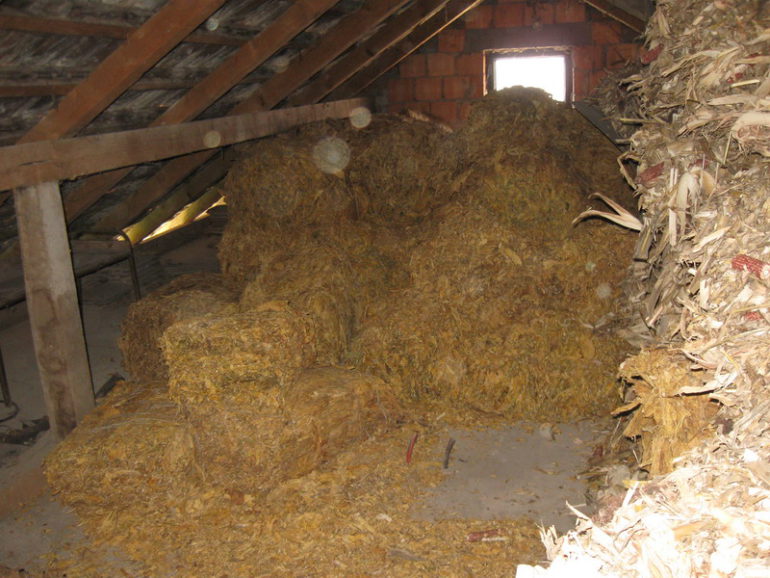 Zaplena 1.920 kilograma osušenog duvana u listu