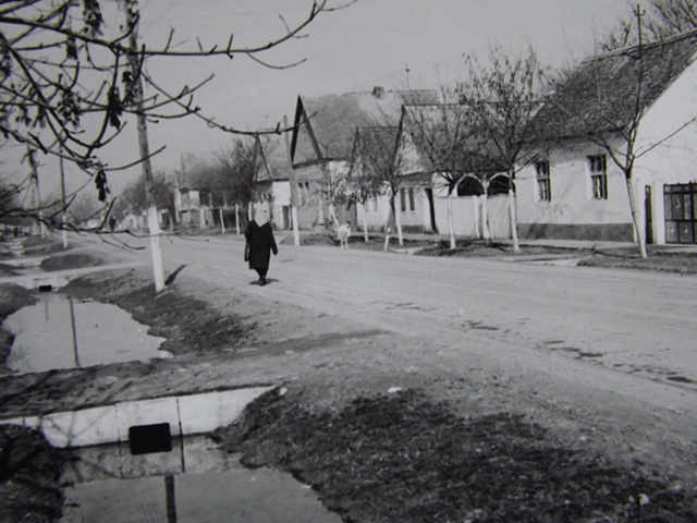 Kako su građene prve seoske kuće u Sremu