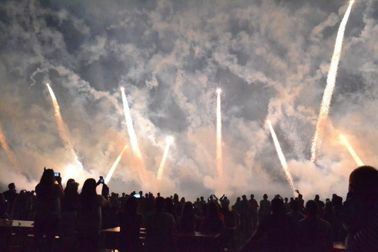 Na Festivalu vatrometa 50.000 posetilaca