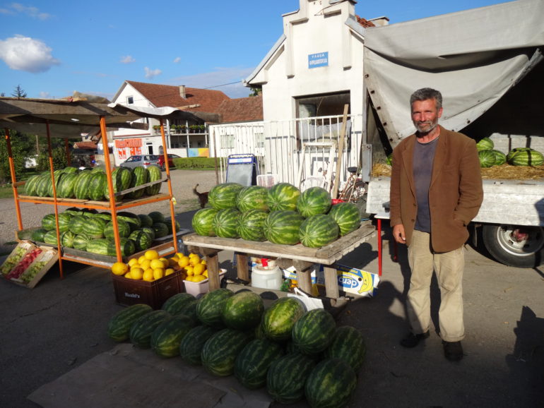 STOJADIN KOJIĆ, NAJISTRAJNIJI GRADSKI LUBENIČAR