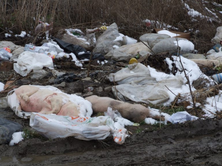 Stanica za animalni otpad između Zasavice i Ravnja