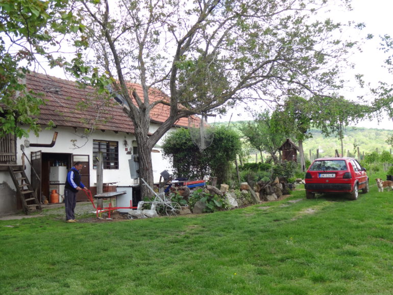 ŠULjAM: DRAGOLjUB MIRAŽIĆ, PRIMER DRUGAČIJEG ČOVEKA