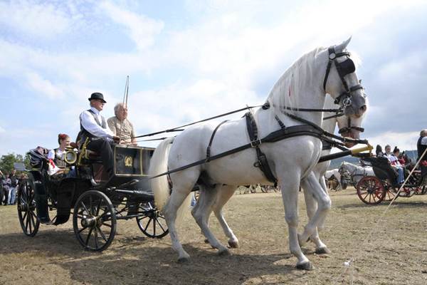 Fijakerijada u Inđiji