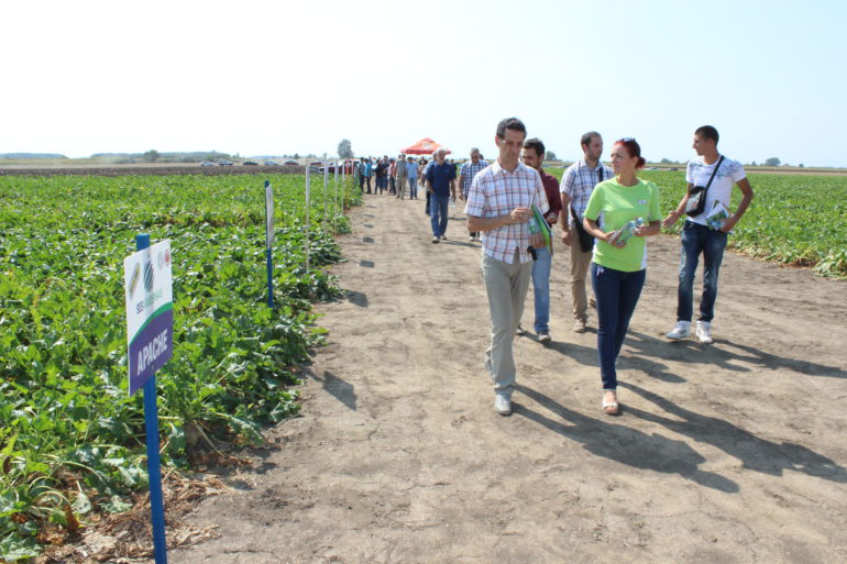 Dan polja jesenjih kultura u Velikim Radincima