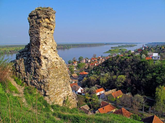 Manifestacija u čast naučniku