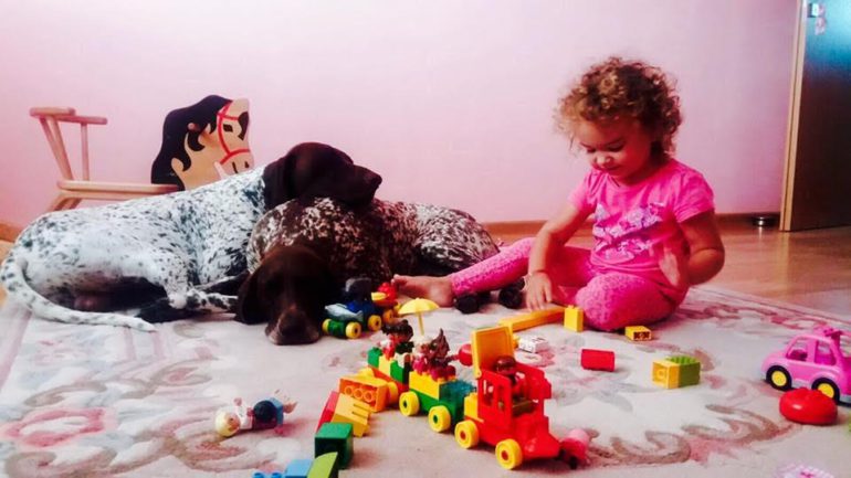 OD SREMA DO SLOVAČKE: KOSANIĆI STOJE UZ SVOJE LjUBAVI