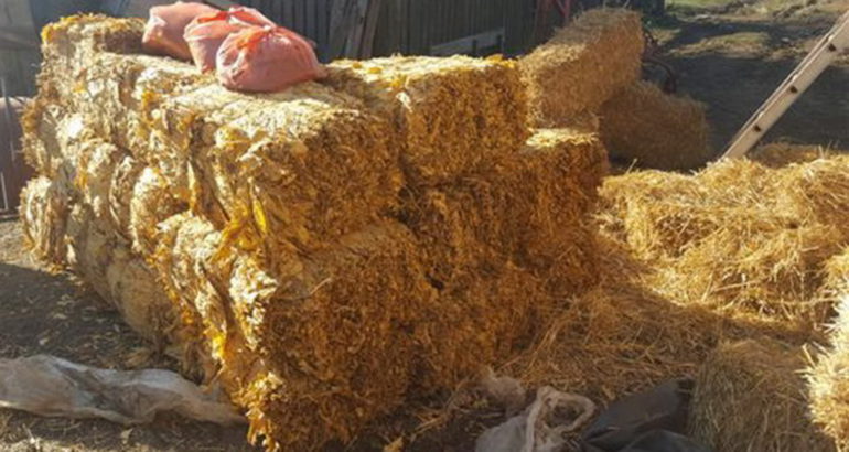 Zaplenjeno 1.124 kilograma duvana