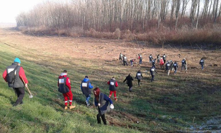 Pošumljeno  priobalje Save