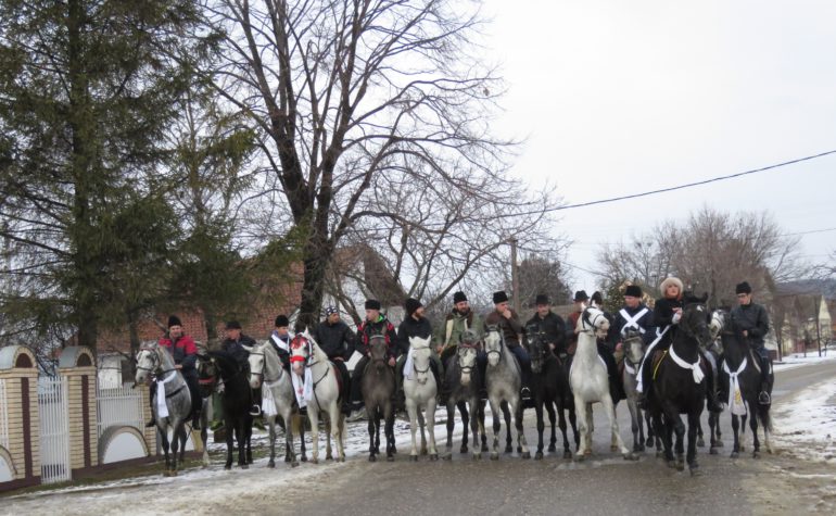 Teranje Malog Božića