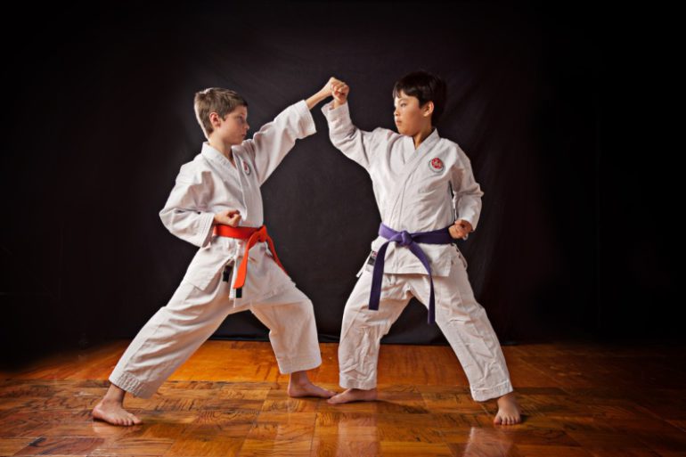 Divoški Karate klub Fruškogorac – ekipa uspeha i sloge