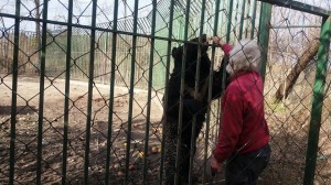 Kavezi dobro obezbedjeni FOTO Marija Balabanovic Sremske novine