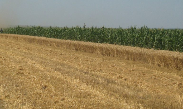 U januaru licitacija zemljišta