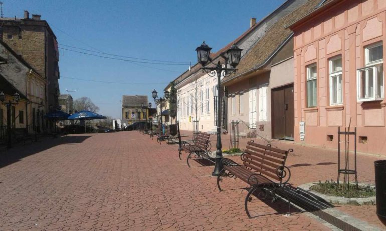 Polomio deset sadnica vrednih 200.000 dinara