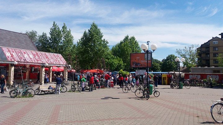 Kulturno leto za najmlađe..