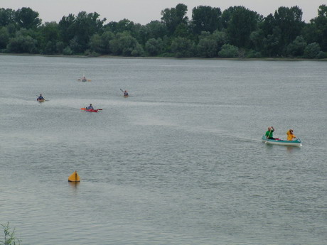 Stiže regata u Stari Slankamen