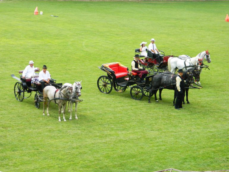 Revija paradnih zaprega