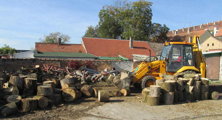 ISPORUKA OGREVNOG DRVETA SOCIJALNO UGROŽENIM PORODICAMA