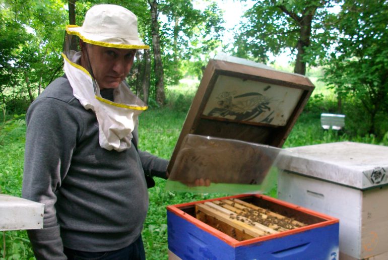 Pčelarstvo se radi iz ljubavi, a ne zbog para