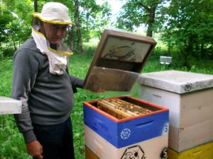 Горан Јурек, пчелар из Шида