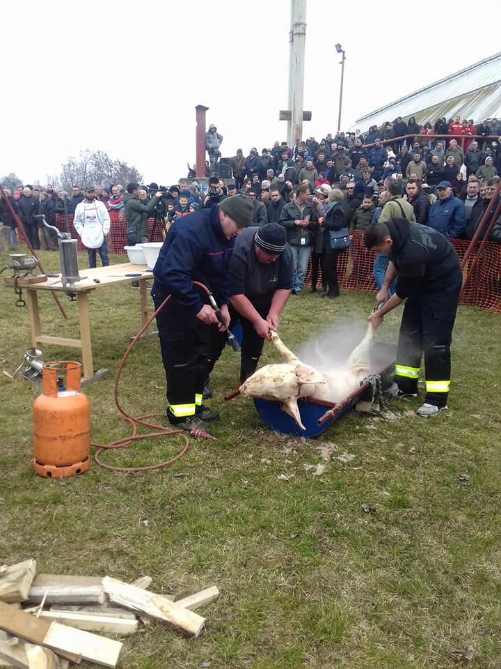 Održan “Sremski svinjokolj i kobasicijada”