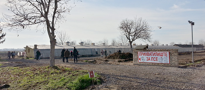 Prihvatilište za pse u centru pažnje svetskih medija