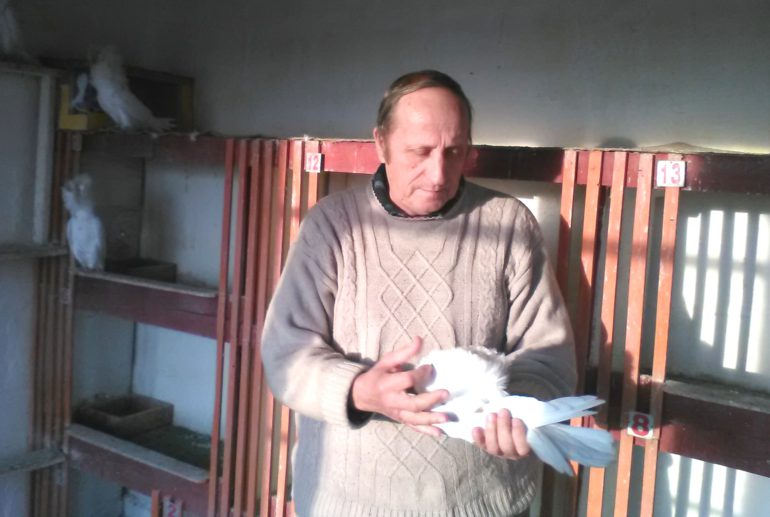 Moj ljubimac periker