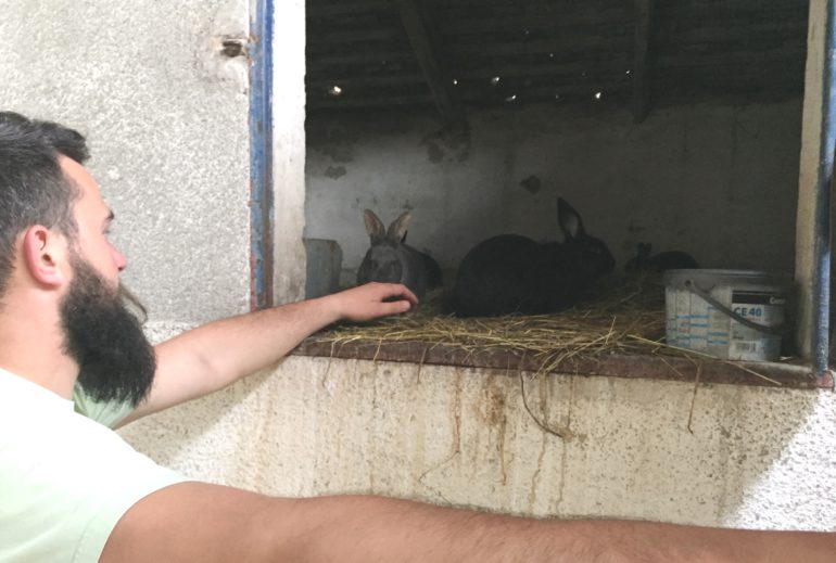 Selo –  oaza mira i izvor prihoda