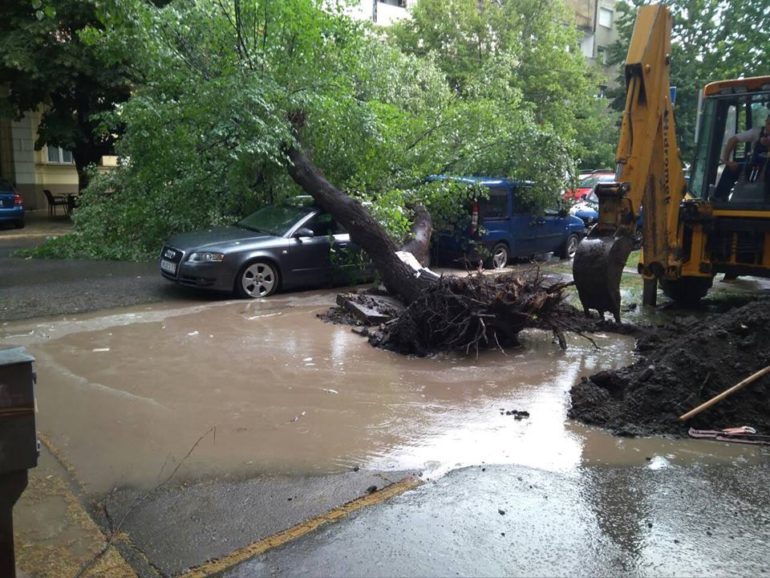 Nevreme oborilo stablo u Glavnoj ulici