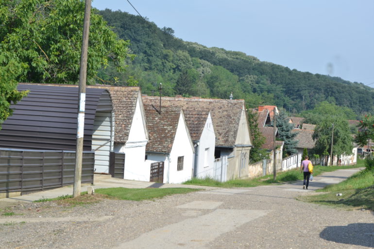 Meštani nestrpljivo čekaju  izgradnju vodovoda