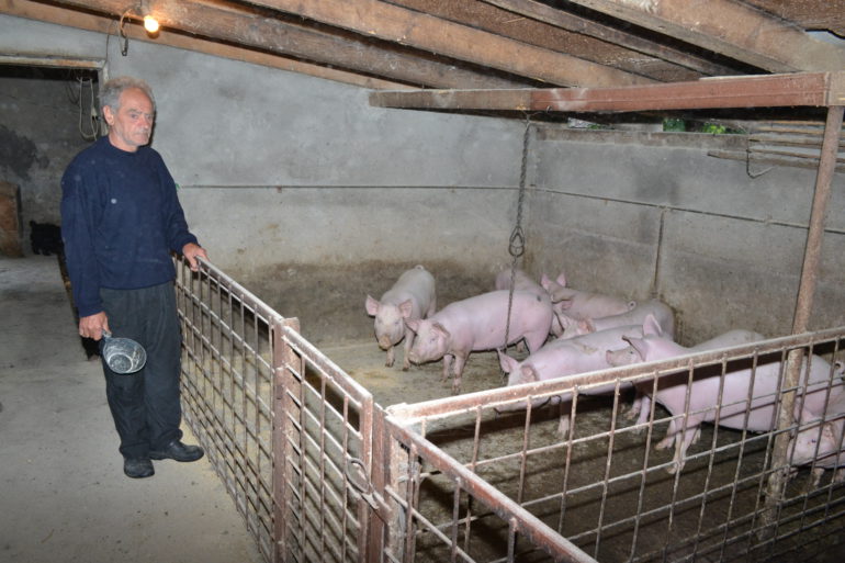 Zemlju više nema ko da obrađuje