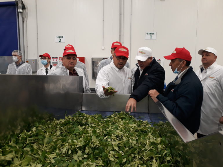 Proširenje kapaciteta u dobrinačkom pogonu za proizvodnju obrok salate