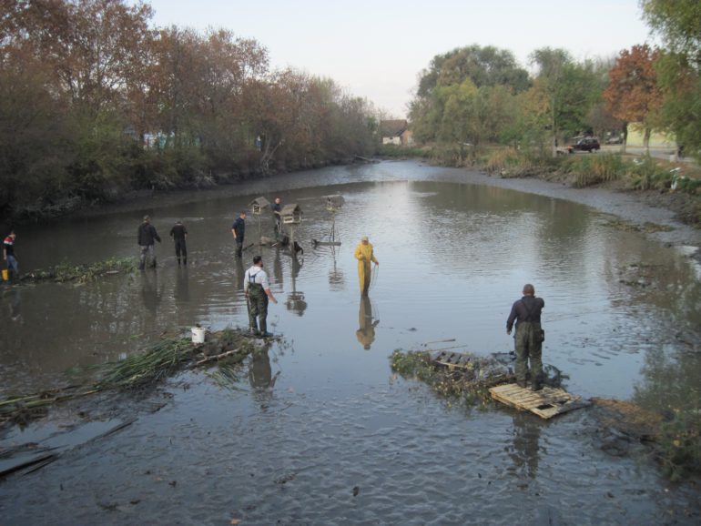 Uređuje se korito barice kod inđijskog bazena