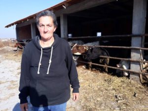 Djurdjic se bavi istocarstvom