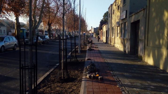 Ozelenjavanje Železničke ulice u Sremskoj Mitrovici
