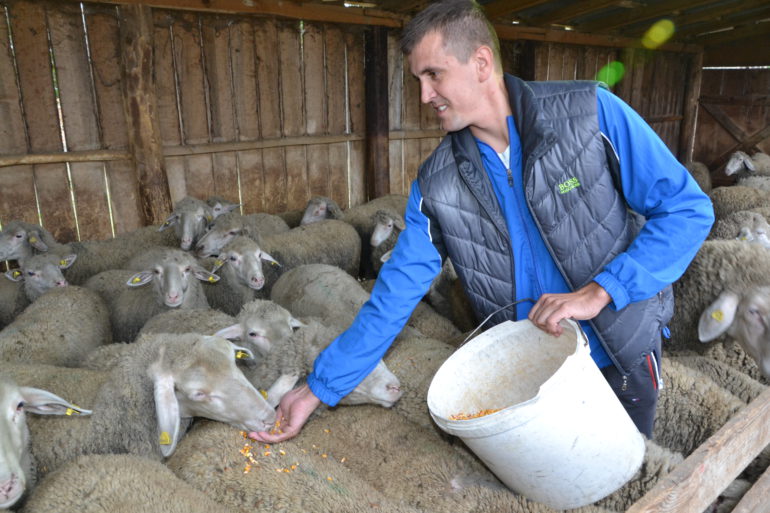 Umesto posla u gradu, izabrao ovčarstvo