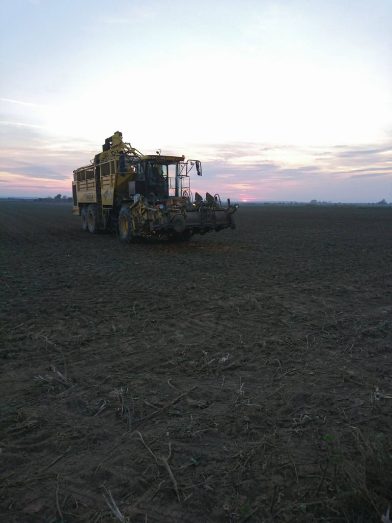 Licitacija državnih oranica