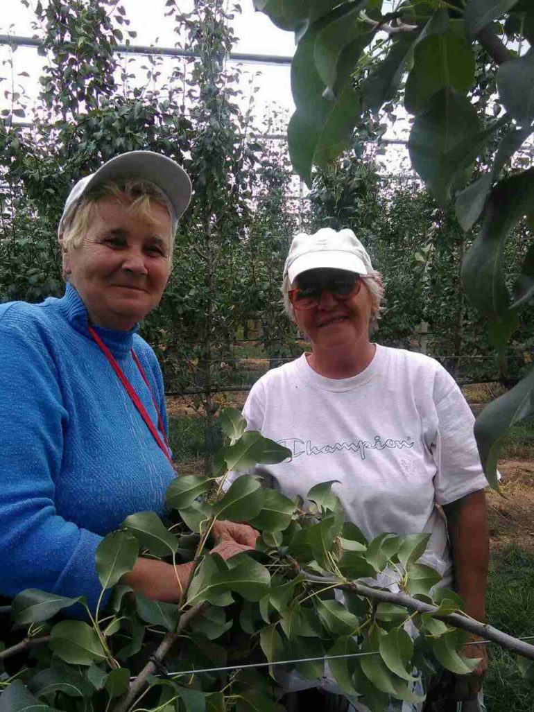 Obuka o zapošljavanju sezonskih radnika