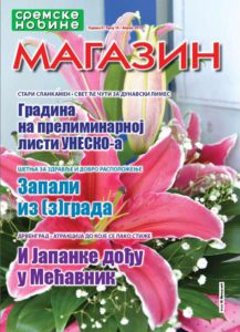 MAGAZIN NASLOVNA